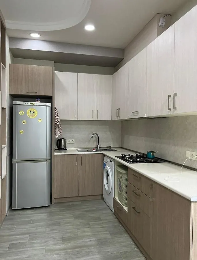 Comfortable Apartment Tbiliszi