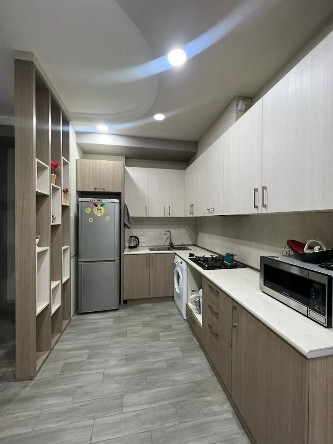 Comfortable Apartment Tbiliszi